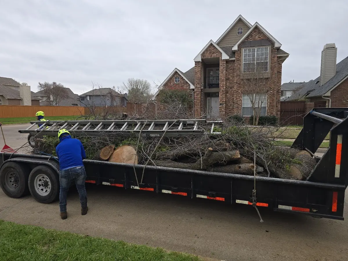 Expert Lot Clearing with proper safety equipment in Deshler